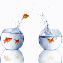 Start your own business and be your own boss